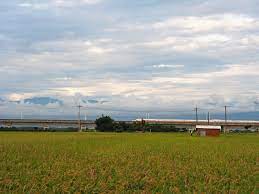 鹿草余慈爺公 1 natural landmarks formosa landmarks