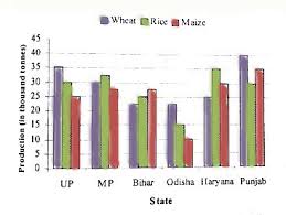 39 bar charts questions and answers with explanation