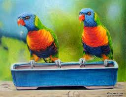 Pencil drawings of animals cool art drawings colorful drawings art drawings sketches realistic pencil drawings easy drawings drawing ideas blue drawings crayon drawings. Detailed Pencil Drawings Of Animals And People By Doreen Cross Art Is Fun