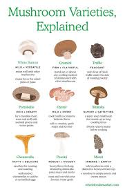Mushroom Varieties Explained White Button Cremini Truffle Portobello Oyster Shiitake Chanterelle Stuffed Mushrooms Mushroom Varieties Cooking Basics