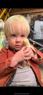 I just love the markings