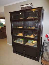 Enclosures You Ve Built For Any Animal Diy Reptile Reptile Enclosure Snake Cages