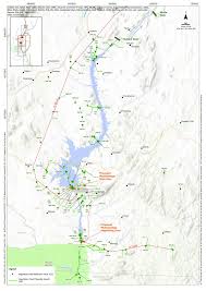 Image result for Megalochlamys hamata