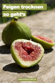Feigen Richtig Trocknen Feigen Zum Trocknen Vorbereiten Einlegen Trocknen Und Dorren Und Richtig Lagern So Kannst Feigen Feigen Rezepte Getrocknete Feigen