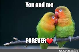 Somics Meme You And Me Forever Comics Meme Arsenal Com