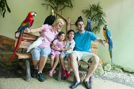 Buat yang akan kesini, letak taman burung ini cuma 10 menit dari pusat kota lho. Kl Bird Park Tickets One Way Transfer Price 2021 Promotions Online Discounts