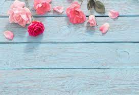 We did not find results for: Teal Wood Background With Flowers Novocom Top
