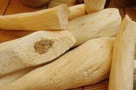 Image result for Synadenium kirkii