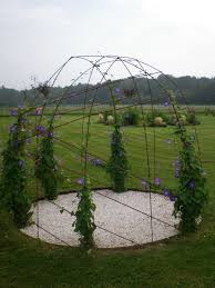 Gloriette Fleurie Boutures De Reves Le Jardin De Sophie Arche Jardin Jardins Tonnelle Jardin