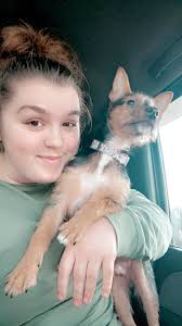 Has the Spud Doctr left skelton now? Went today, wasn't there