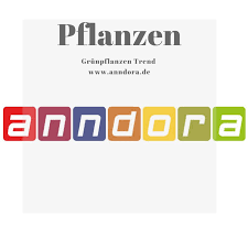 Pin Von Anndora Gmbh Auf Pflanzen Zimmerdschungel Bbq Party Cocktails Cocktail