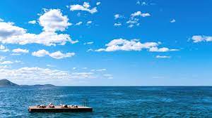 Dos Madres Perfectas 2013 Pelicula Completa En Espanol Latino Repelisplus