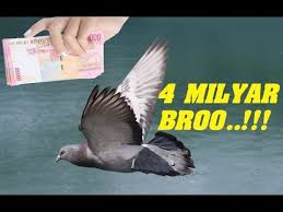 Naga pesona/sesarang margaret (michael 354); Gilaaaaa Merpati Termahal Di Dunia Ini Seharga 4 Milyar Youtube