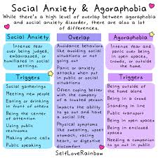 Image result for Agoraphobic Avoidance