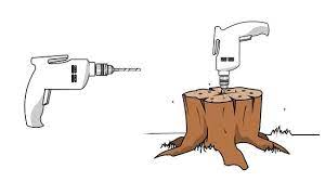 Tree stump remover granules, those made of potassium nitrate, specifically for the purpose of killing stumps, do not kill grass. 4 Ways To Kill A Tree Stump Wikihow