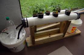 building a simple hydroponic system
