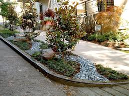 Image Result For Parking Strip Landscaping Ideas In 2021 Sidewalk Landscaping Front Yard Landscaping Front Landscaping