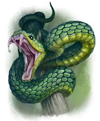 Viper By Deanspencerart On Deviantart Snake Tattoo Design Snake Drawing Snake Sketch