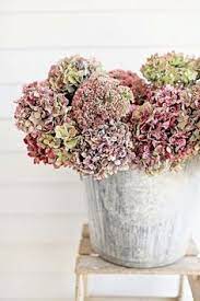Dianne Mclarty Diannemc1 Profile Pinterest