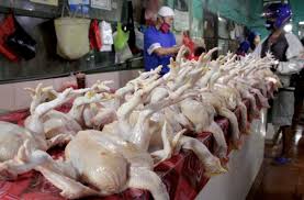 Maybe you would like to learn more about one of these? Pekan Ke 2 Puasa Harga Daging Ayam Hingga Cabe Rawit Kompak Turun