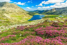 301 Reasons Why You Should Visit Romania Visit Romania Romania Travel National Parks