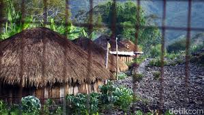 Honai Rumah Adat Papua Dan Keunikannya
