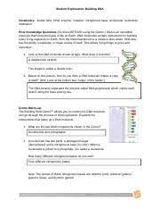 I simply added a question (from one of the other contributors) and gave a bit i also highlighted some more terms because my students will see them on their quarter assessment. Gizmos Building Dna Activity Student Exploration Building Dna Vocabulary U200b Double Helix Dna Enzyme Mutation Nitrogenous Base Nucleoside Course Hero