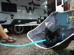 My friend linda also got a cat enclosure. 14 Tips Every Cat Owner Should Know