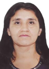 Propiedades de Otorongos Elecciones 2022