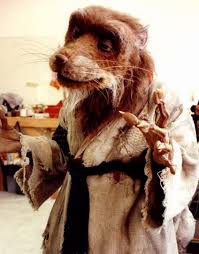 Master Splinter Sm1 Jpg 451 576 Pixels Tmnt Teenage Mutant Ninja Turtles Ninja Turtles