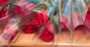 We did not find results for: Valentine S Day Traditions In Germany And Around The World