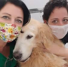 Vet em domicílio RP