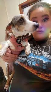 Harness for hot dog that can't escape