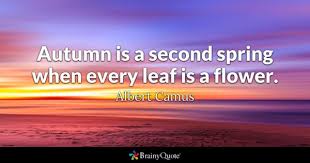 Image result for native american spiritual wellbeing quotes