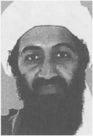 Organizational Structure