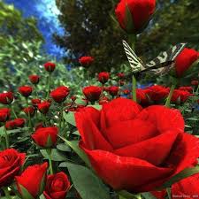 City of flowers in pakistan. Send Flowers To Pakistan Home Facebook