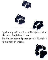 que cierto cierto gesundheitspruchgeburtstag gesundheitspruchlatein gesundheitspruchlustig gesundheitspruchwe spruche tiere hund zitat spruche tierliebe