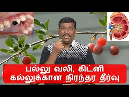 Palvali Treatment In Tamil Healer Baskar Kidney Stones Healer Baskar Maru Youtube