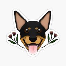 Check spelling or type a new query. Australian Flowers Stickers Redbubble