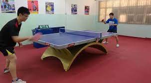 Table tennis independent supplier 乒乓用品专卖店 Tenryu Malaysia Sdn Bhd Malaysia Table Tennis Shop Home Facebook