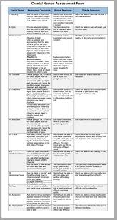 Cranial Nerves Assessment Cheat Sheet Studypk Health Assessment Nursing Cranial Nerves Pediatric Nursing