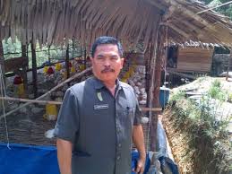 Cara budidaya burung merpati pedaging dengan membuat sebuah kandang yang menjadi faktor utama yang menjadikan sarana merpati berkembang. Budidaya Ayam Pedaging Muhammad Suriansyah