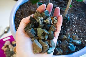 Unfollow indoor plant soil to stop getting updates on your ebay feed. How To Arrange Indoor Plants With Colored Rocks Create Play Travel