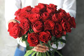 Why give roses on valentine's day? 4 Most Perfect Flowers For Valentine S Day Fotolog
