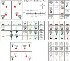 How to plant carrots in a square foot garden. Square Foot Gardening A Simplified Method Of Gardening