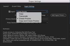 Premiere will automatically send your clips to media encoder and create proxies that'll automatically attach to the clips inside your project window. Seamless Proxy Workflow In Premiere Pro Frame Io Insider
