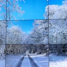 This Is From The Four Seasons Woldgate Wood By British Artist David Hockney S Huge Show Now On At The National Gallery David Hockney Hockney British Artist