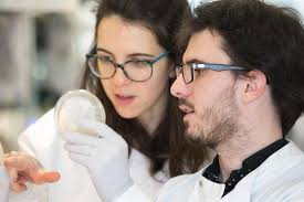 Supervisors and Projects