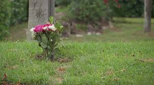Maybe you would like to learn more about one of these? Cape Coral Neighbors Want Safety Measures At Cul De Sac Near Deadly Crashes