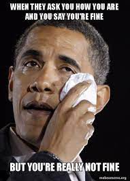 When They Ask You How You Are And You Say You Re Fine But You Re Really Not Fine Crying Obama Make A Meme